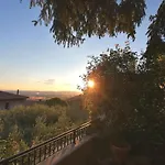 Garden *