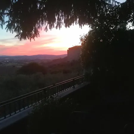 Garden * Assisi